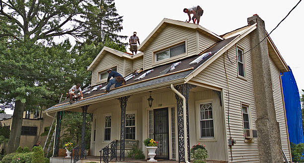Roof Gutter Cleaning in Ringgold, GA